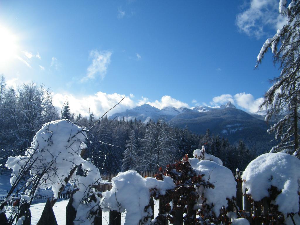 Fattoria Meneguto Agriturismo Degasper Giorgio Cortina dʼAmpezzo Exteriér fotografie