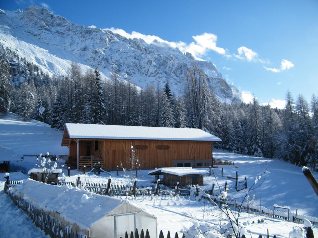 Fattoria Meneguto Agriturismo Degasper Giorgio Cortina dʼAmpezzo Exteriér fotografie